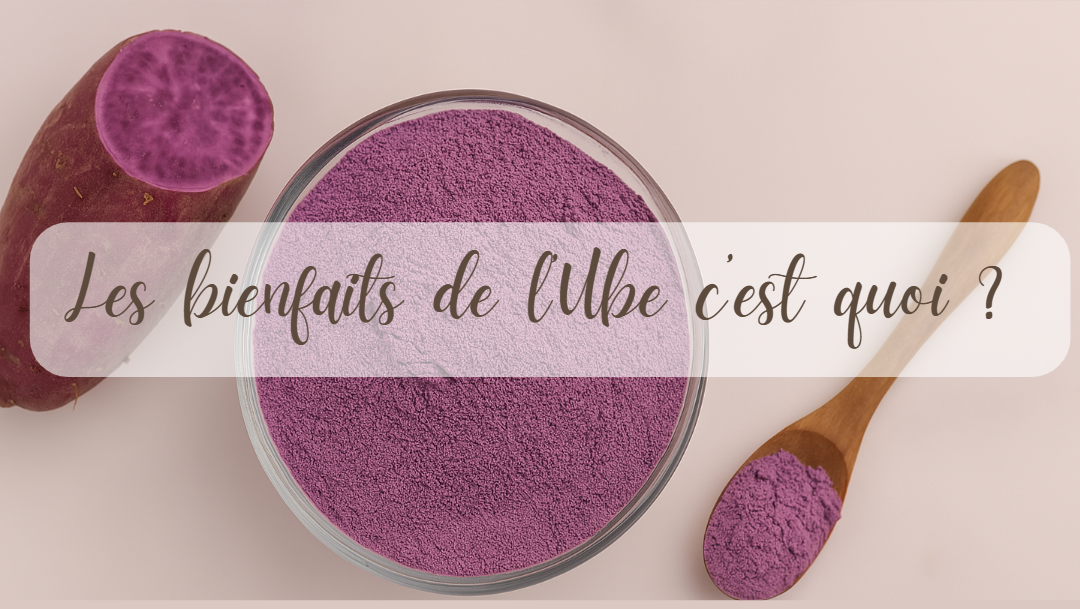 Les bienfaits de l’ube sur la santé : antioxydants, digestion, énergie naturelle