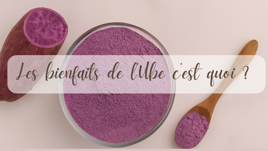 Les bienfaits de l’ube sur la santé : antioxydants, digestion, énergie naturelle