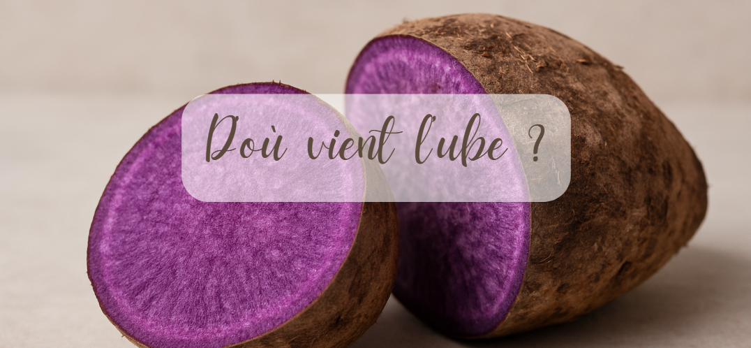 D'ou vient l'ube