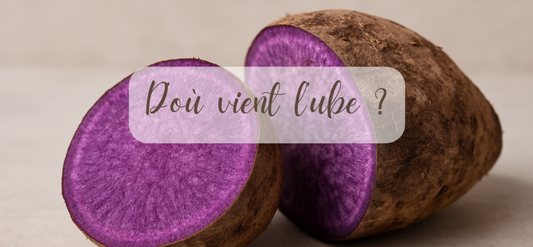 D'ou vient l'ube