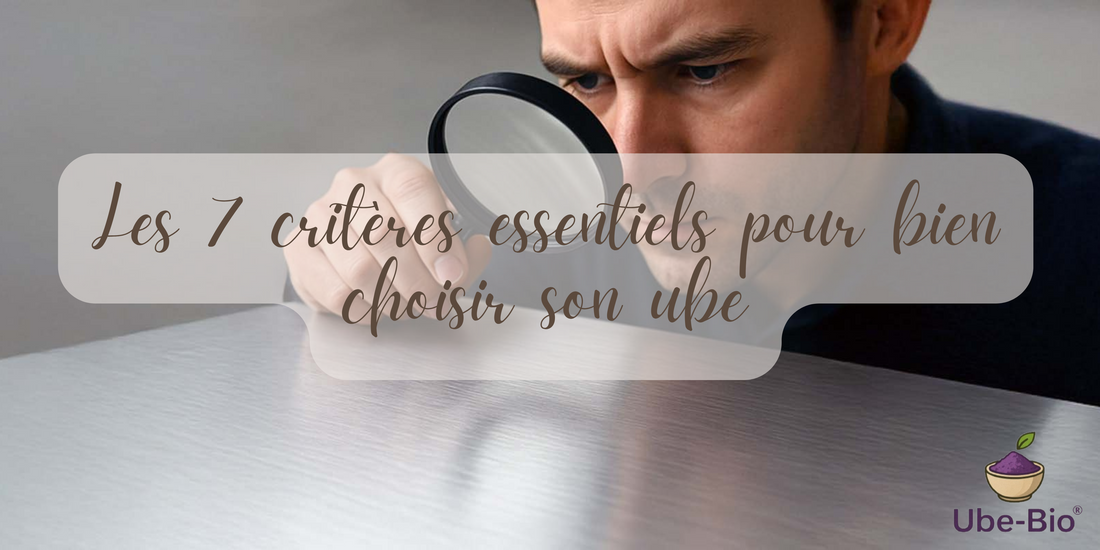 Les 7 critères essentiels pour bien choisir son ube