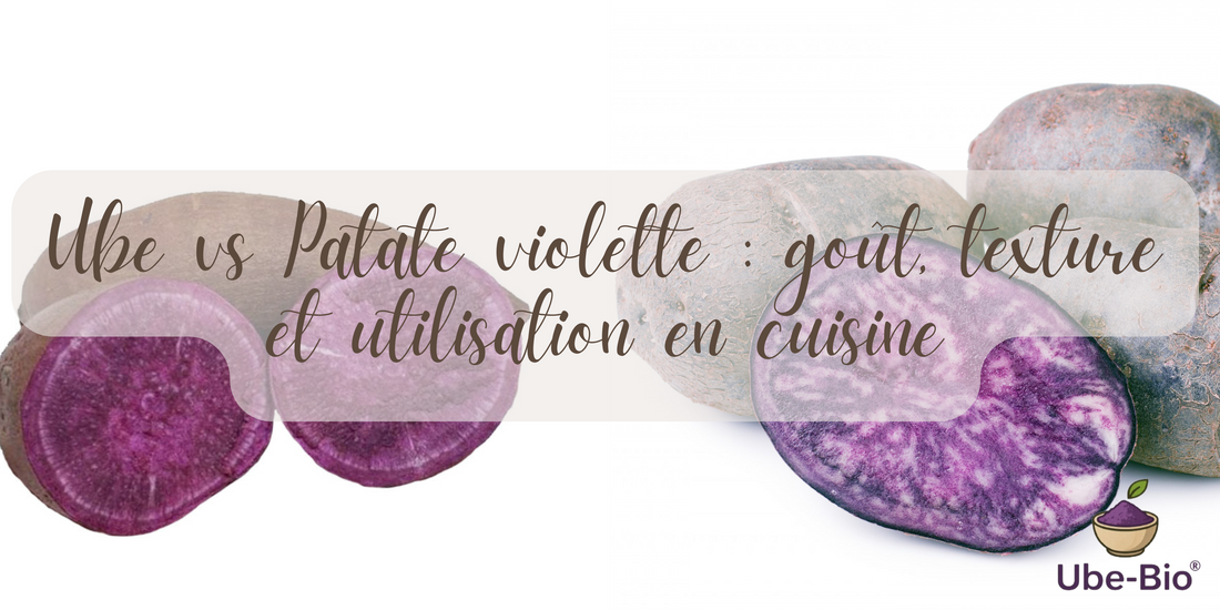 Ube vs Patate violette : goût, texture et utilisation en cuisine