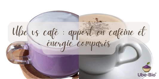 Ube vs café : apport en caféine et énergie comparés