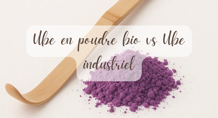 ube en poudre bio vs industrielle différences bienfaits qualité goût superaliments recettes healthy