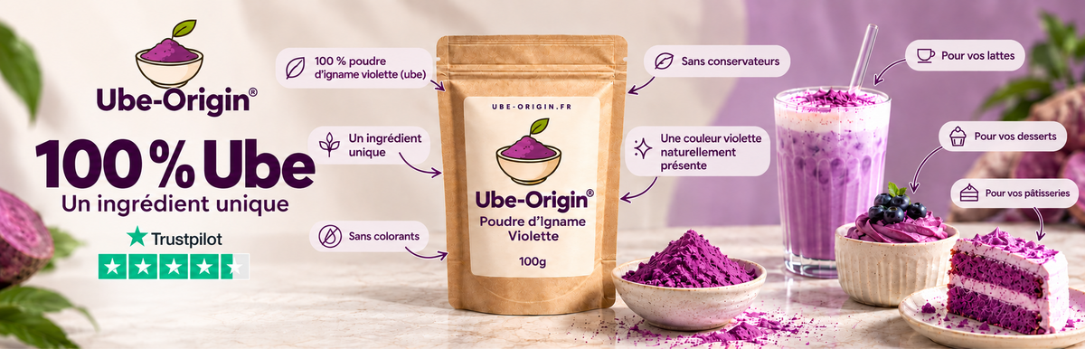 banniere_ube_origin_2026